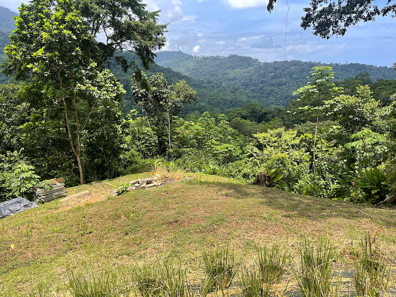 Rare 25+ Acre Opportunity in Uvita selected