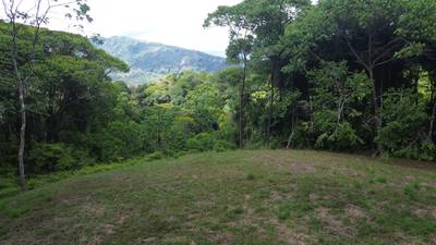 Your Private Jungle Retreat Just Minutes from Dominical image 4