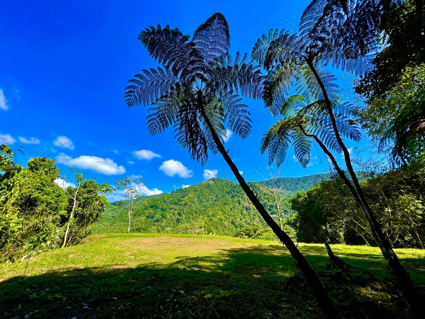 6-acres-with-two-building-sites-in-tres-rios