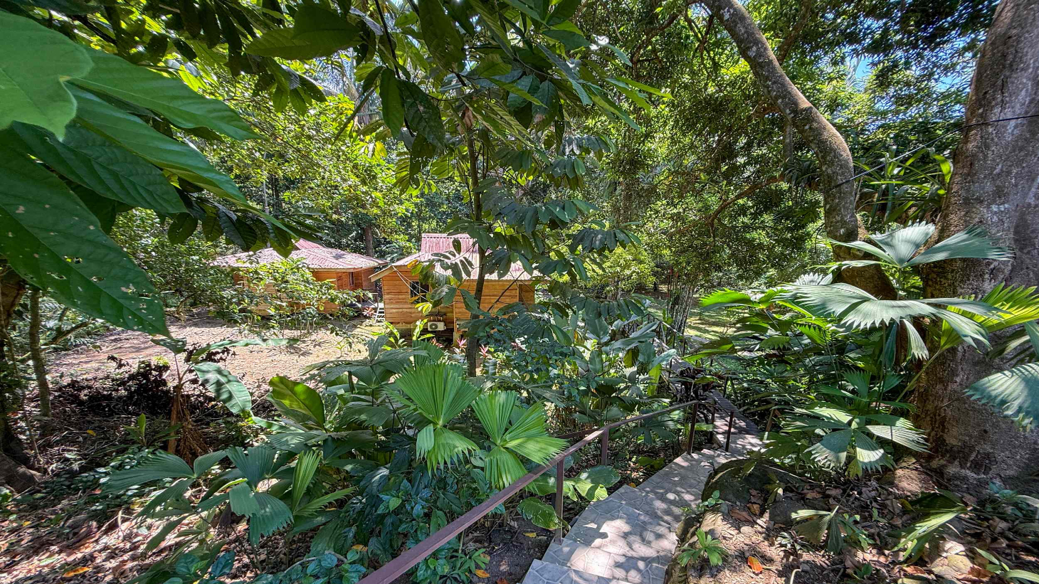 Gorgeous Jungle Hotel with 11 Beds including Owner/Manager Unit, Sparkling Pool & River Setting in Ojochal Costa Rica selected