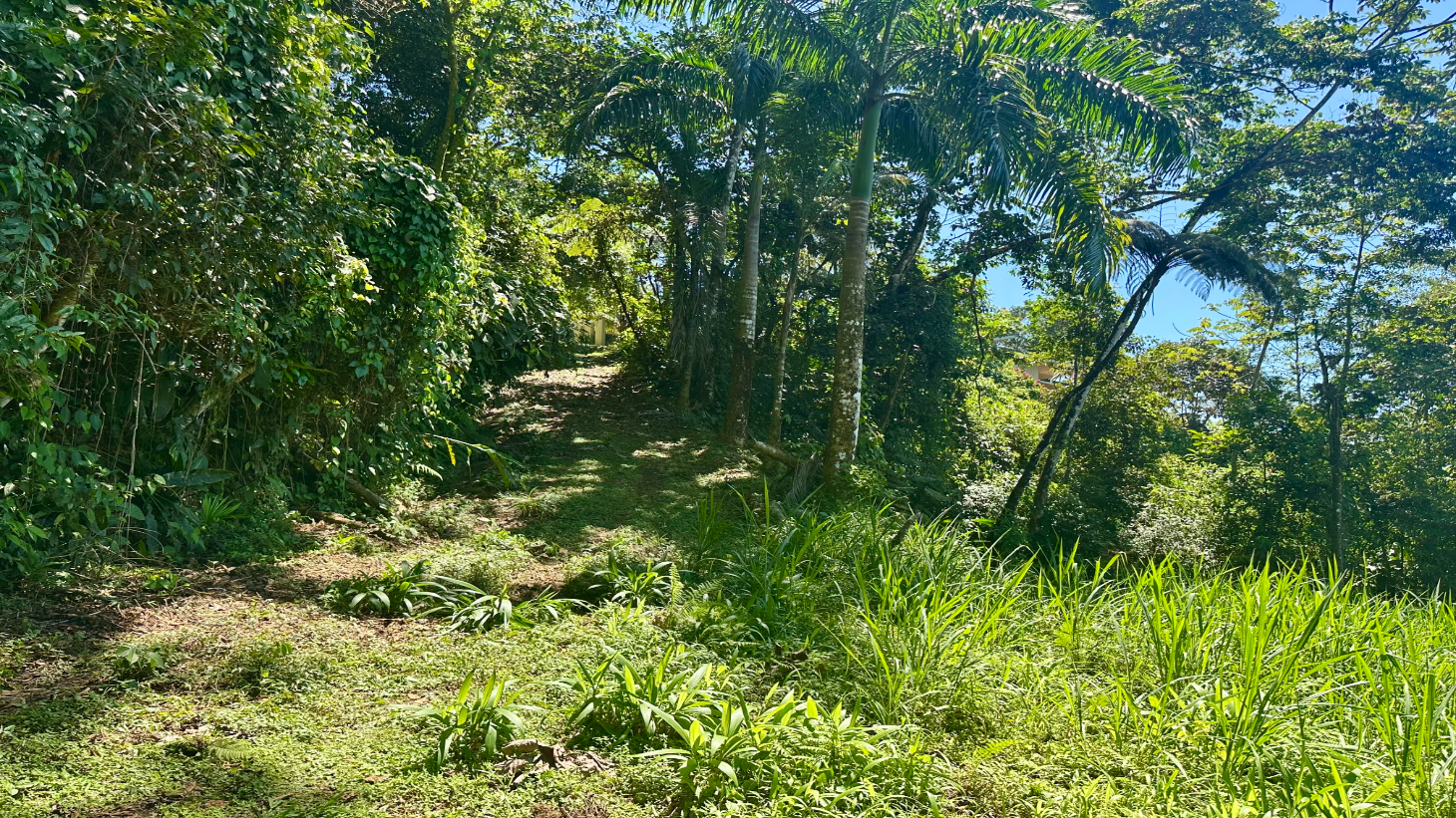 Exclusive 5.80 acres Ocean View Estate Lot in Costa Verde Estates – Escaleras selected