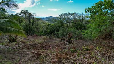 Ocean - Mountain View Lot for Sale in Ojochal, Costa Rica  image 5