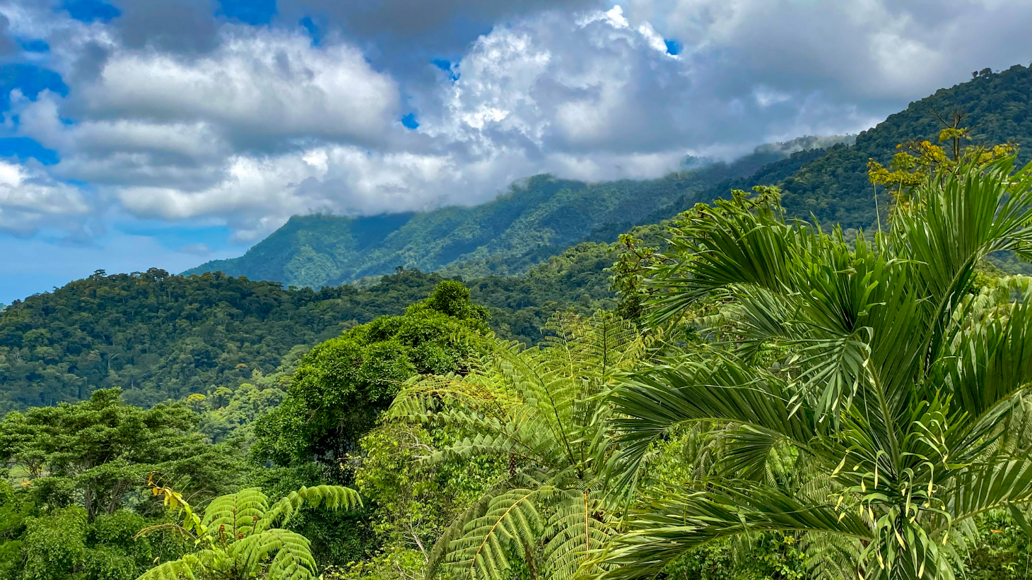 3-Bed Ocean View Home Near Ojochal, Costa Rica | 2.75 Acre Jungle Property selected