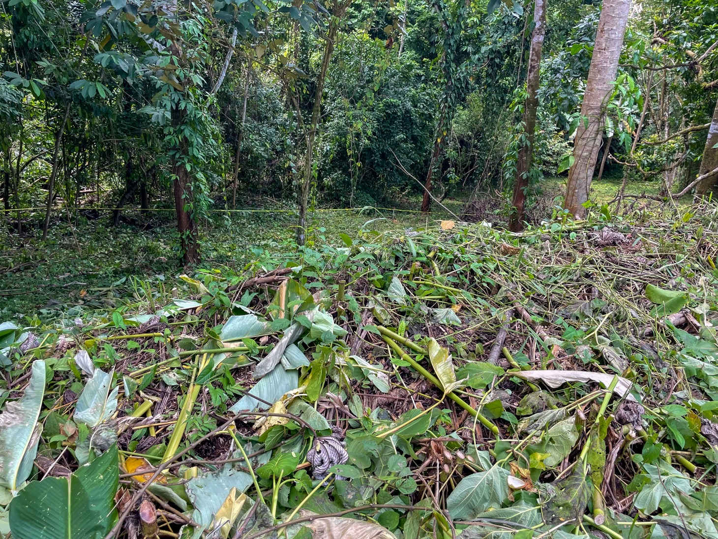 Exquisite Private Lot Bordering River with Mountain View in Ojochal, Phase 10 selected