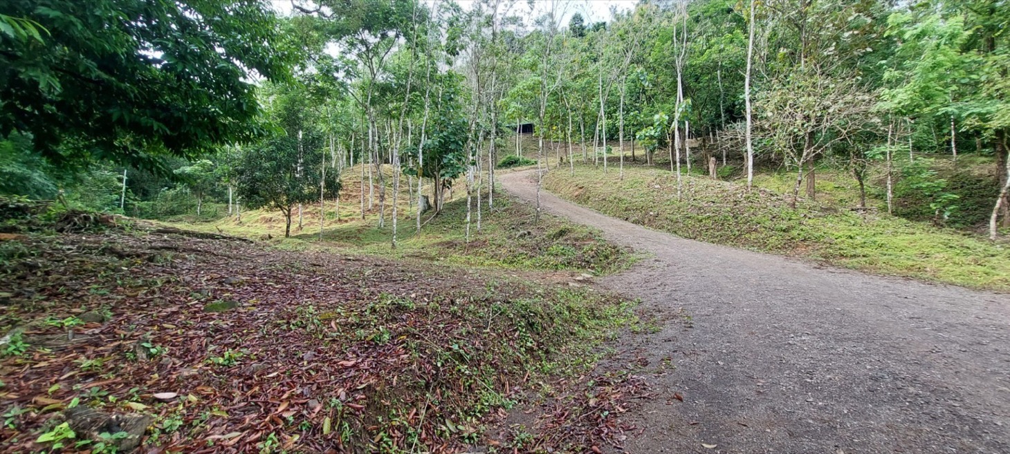 Rustic Elegance in the Heart of Nature – Tres Ríos Mountain Retreat with Expansion Potential selected