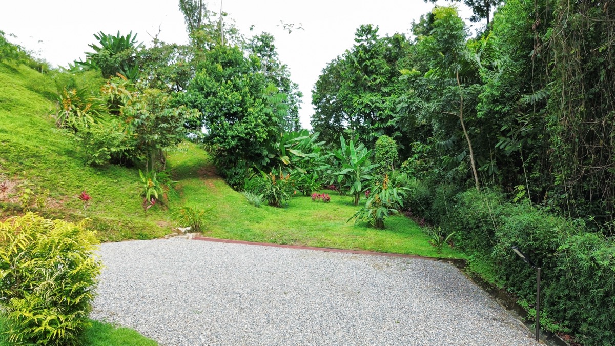 Casa La Paz: A Private Oasis of Luxury and Adventure in the Heart of Ojochal selected