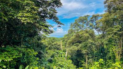 14-Acre Eco-Haven with Ocean View & Riverfront, Minutes from Beaches and National Park image 2