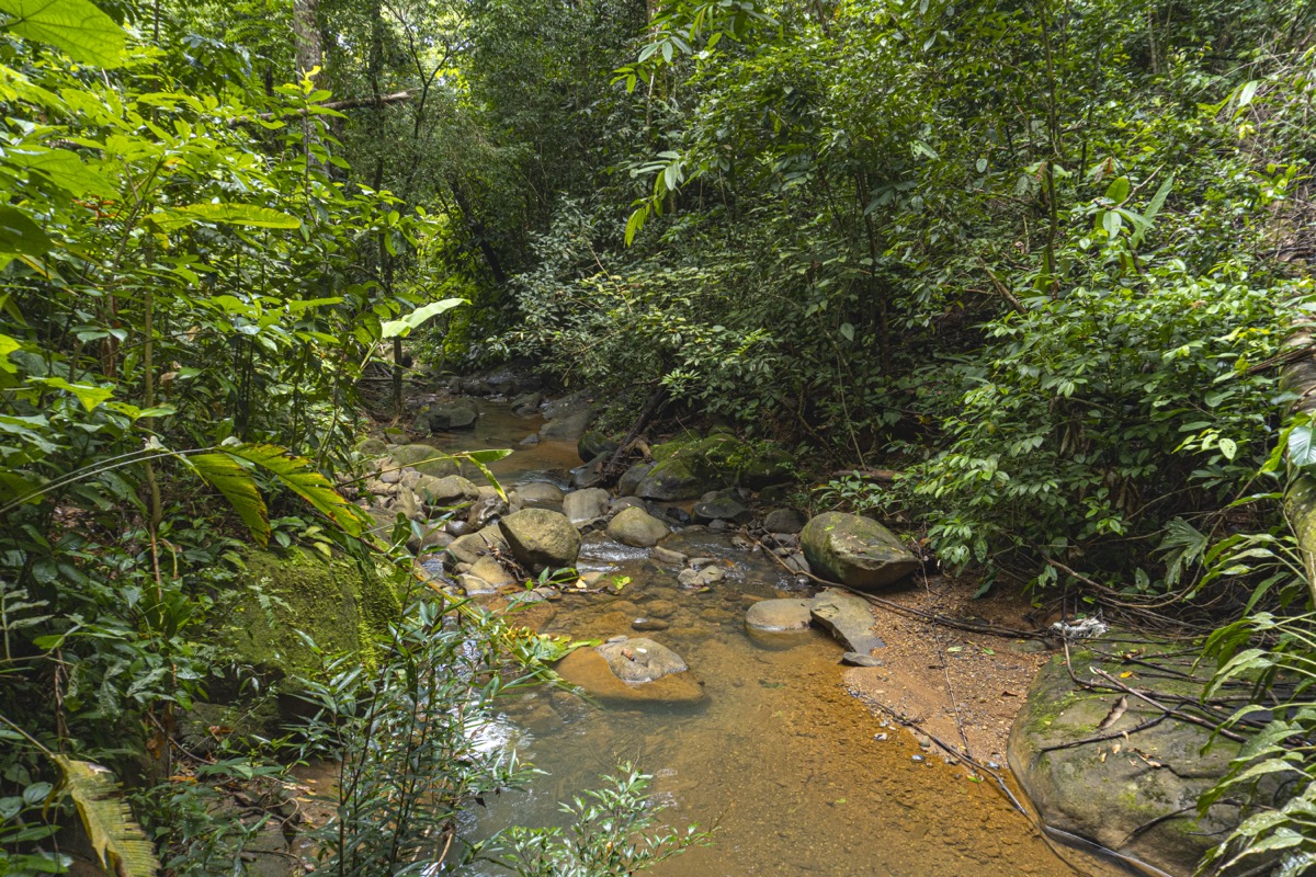 Serene Costa Rican Jungle Retreat with Waterfalls & Wildlife selected