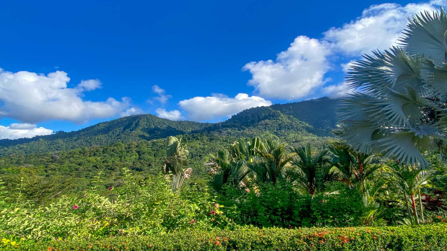 Ocean,Jungle & Mountain View Home in Ojochal | Protected Jungle Setting selected