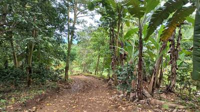 Mountain View Home Site with Seasonal Waterfall and Mature Fruit Trees image 5
