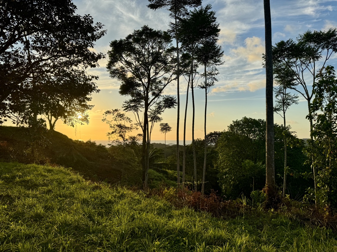 Two Ocean View Properties in Ojochal – 5.33 Acres of Pure Paradise selected