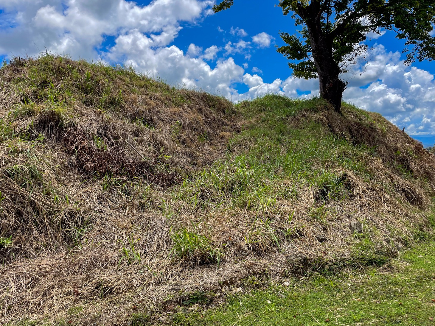 Stunning Lot for Sale in Southern Costa Rica – A Rare Opportunity! selected