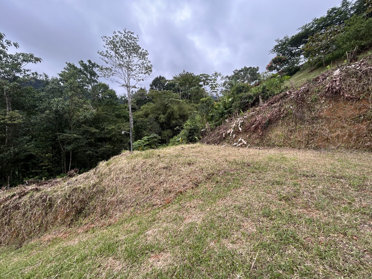 Affordable Jungle Lot in Gated Phase 9 Ojochal with Legal Water selected