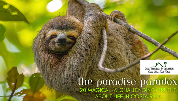 The Paradise Paradox: What Makes Costa Rica Magical (And Challenging) for Expats in 2025