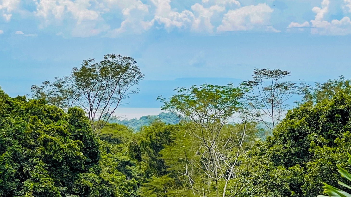 Tropical Retreat in Ojochal with Ocean Views, Private Waterfall & Expansion Potential selected