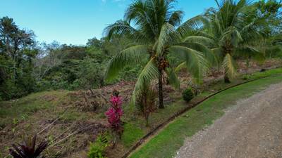 Ocean - Mountain View Lot for Sale in Ojochal, Costa Rica  image 1
