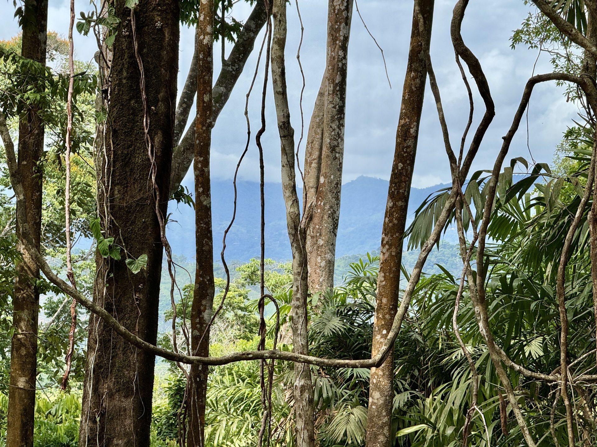 Exceptional 5.11-Acre Property in Lagunas selected