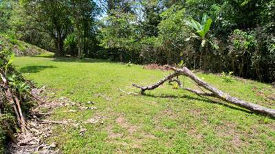 Land for Sale Near Ojochal, Costa Rica – Lot with Water & Electricity Near El Pavón Waterfall image 4