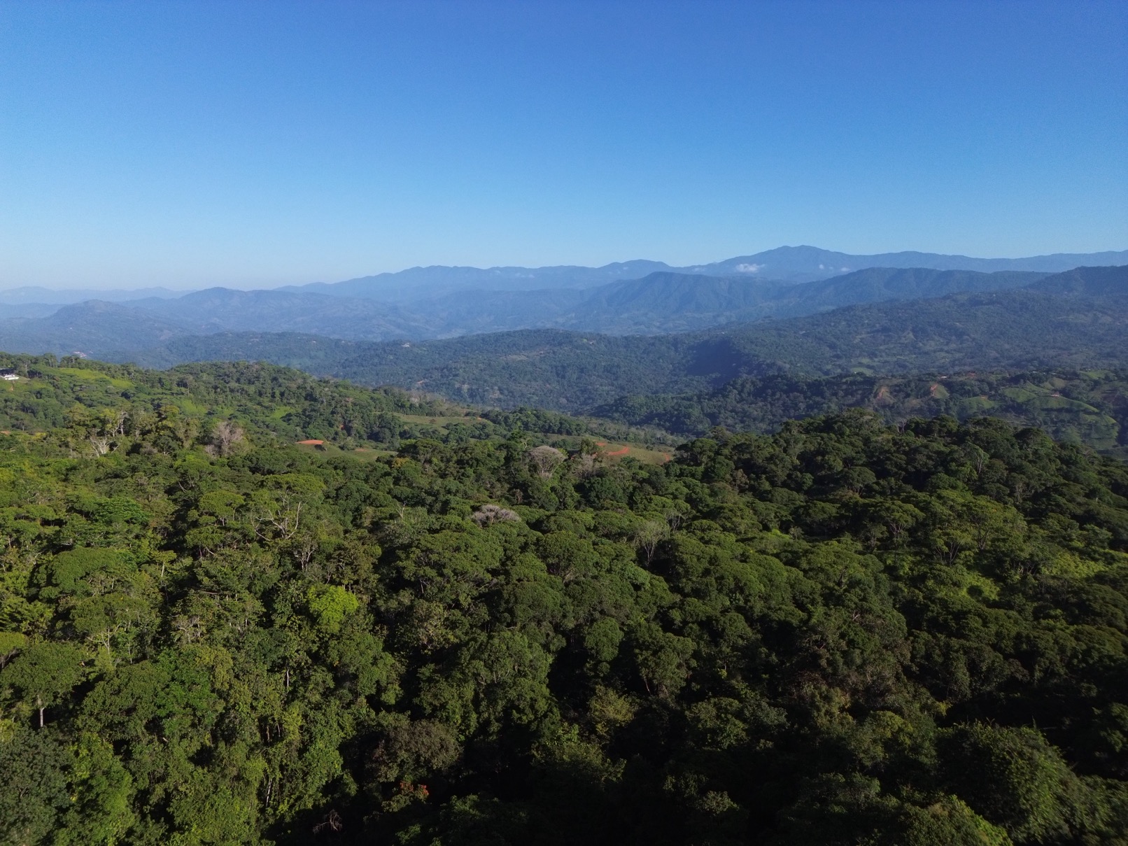 Expansive Escaleras Estate with Ocean Views, Jungle, and Development Potential selected