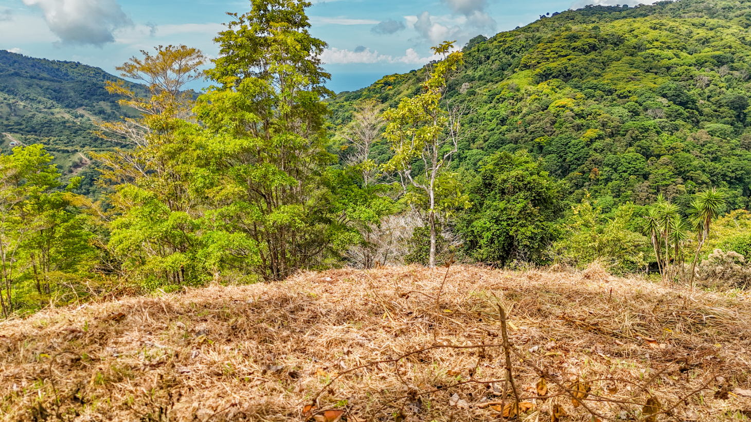1.5 Acre Ocean & Mountain View Lot Near Uvita | Legal Water & Privacy selected