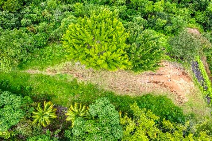 development-farm-in-coronado-costa-rica