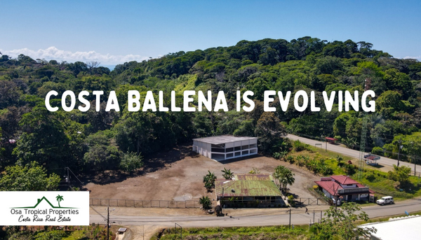 Costa Ballena Real Estate: Infrastructure Boom Making This Costa Rican Paradise More Attractive Than Ever