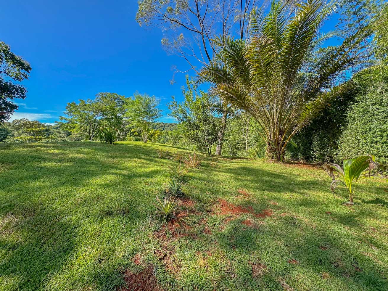 1-Bedroom Jungle River Retreat with Room to Build Your Dream Home in the Heart of Ojochal selected