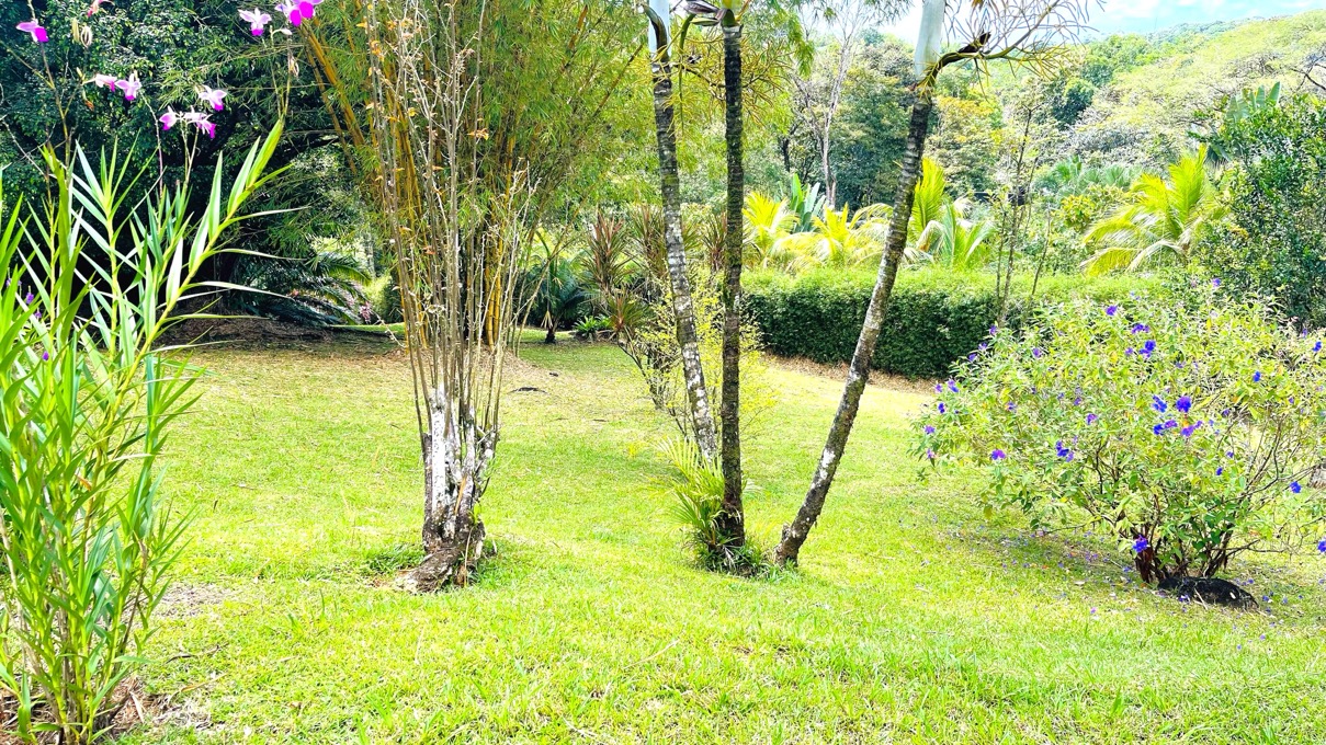 Charming 3 Bedroom Home with Lush Garden Acreage and Pocket Ocean View selected