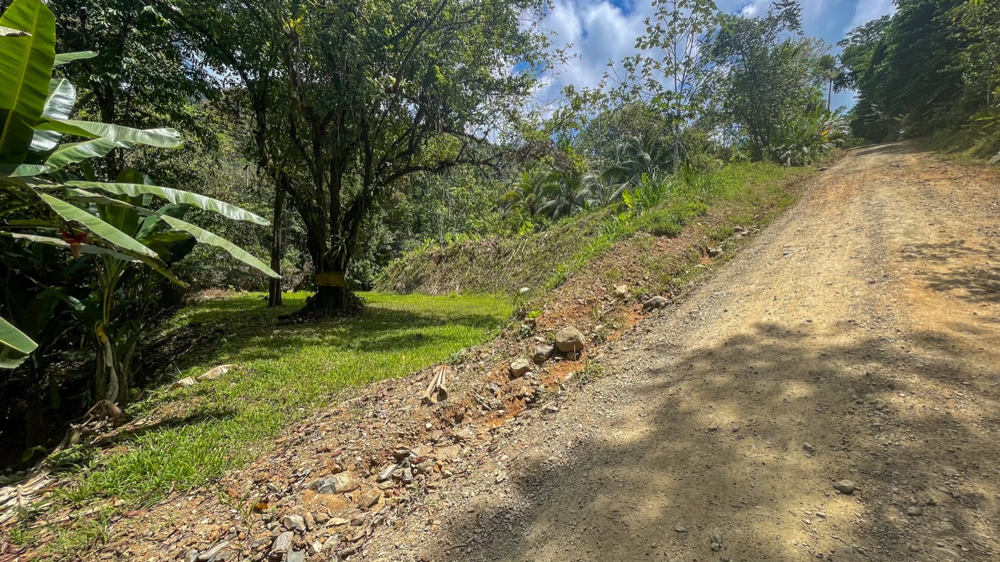 Land for Sale Near Ojochal, Costa Rica – Lot with Water & Electricity Near El Pavón Waterfall selected