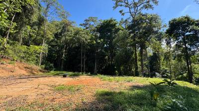 Two Ocean View Lots in Uvita – Easy Access and Large Building Sites image 4
