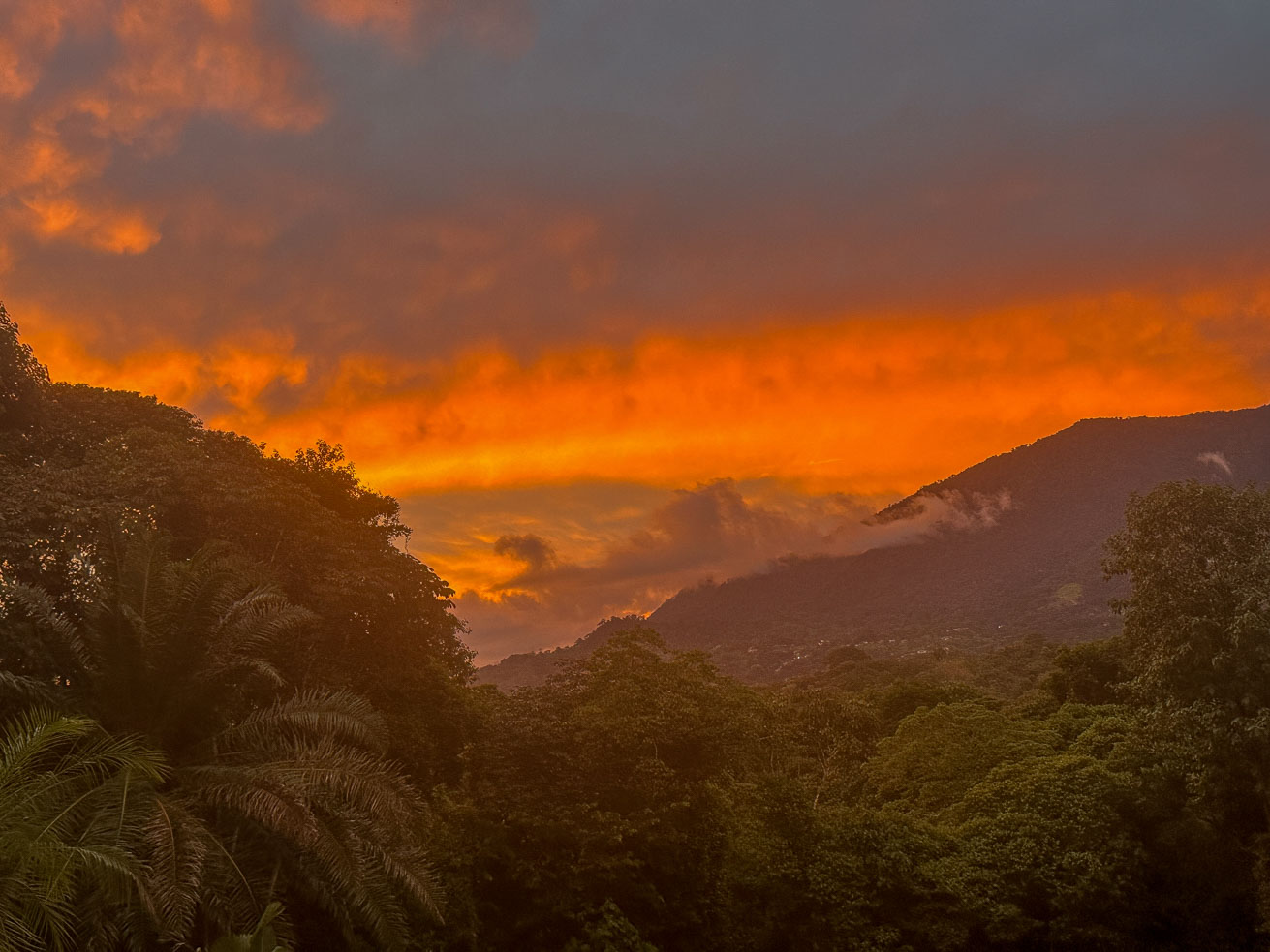 Modern Jungle Retreat with Infinity Pool and Panoramic Mountain Views in Ojochal selected