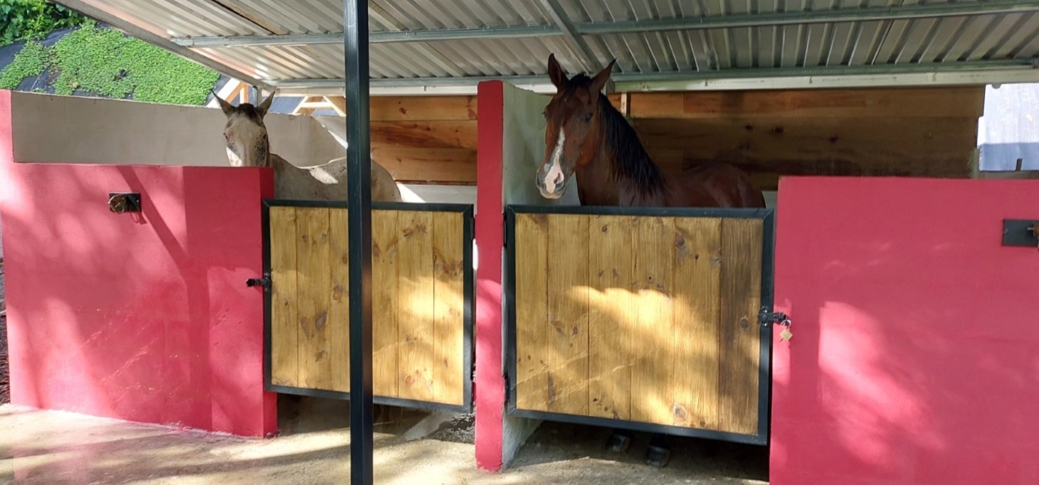 Rustic Elegance in the Heart of Nature – Tres Ríos Mountain Retreat with Expansion Potential selected