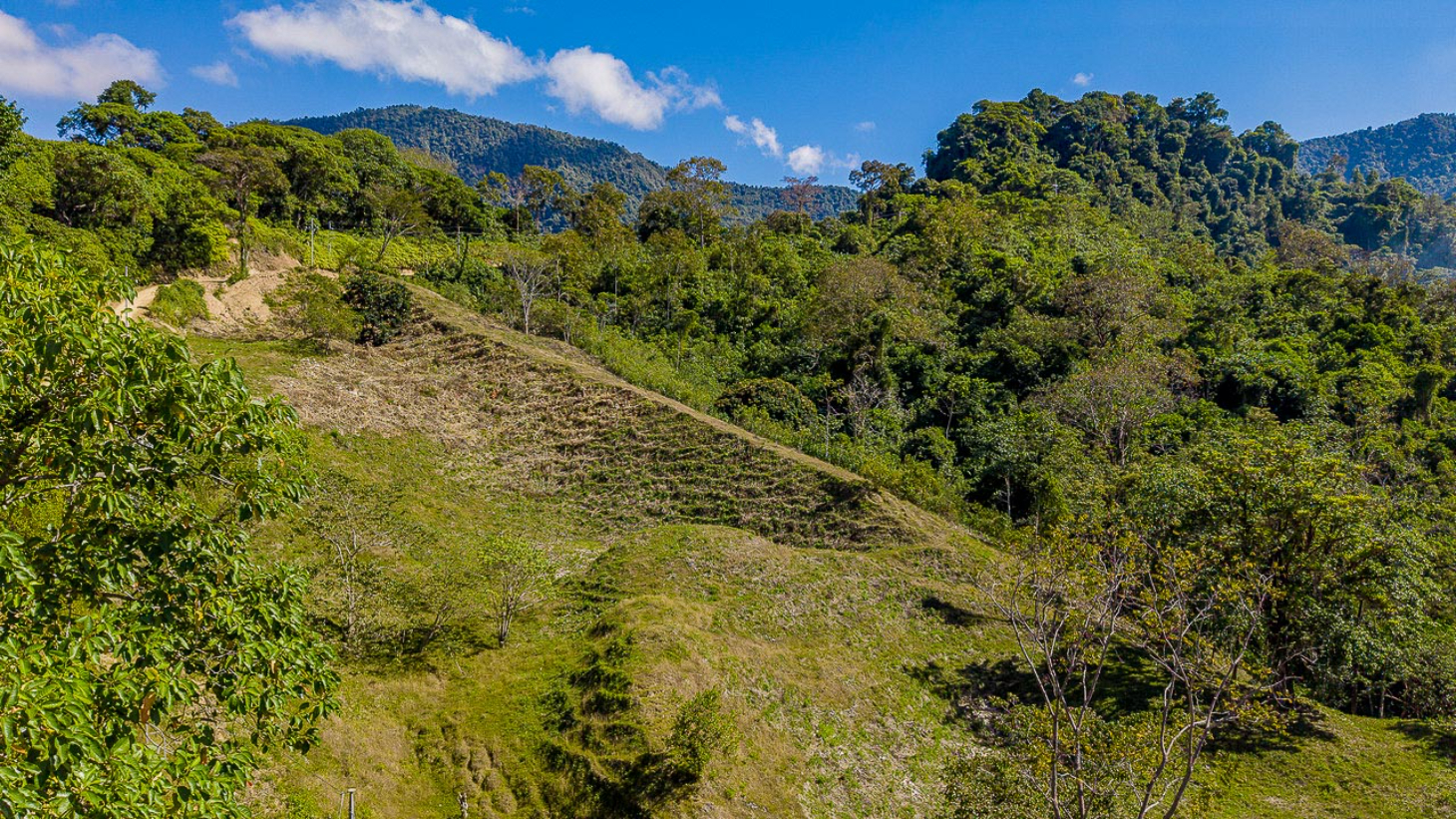 Whale Tail Views Luxury Waterfall Farm selected