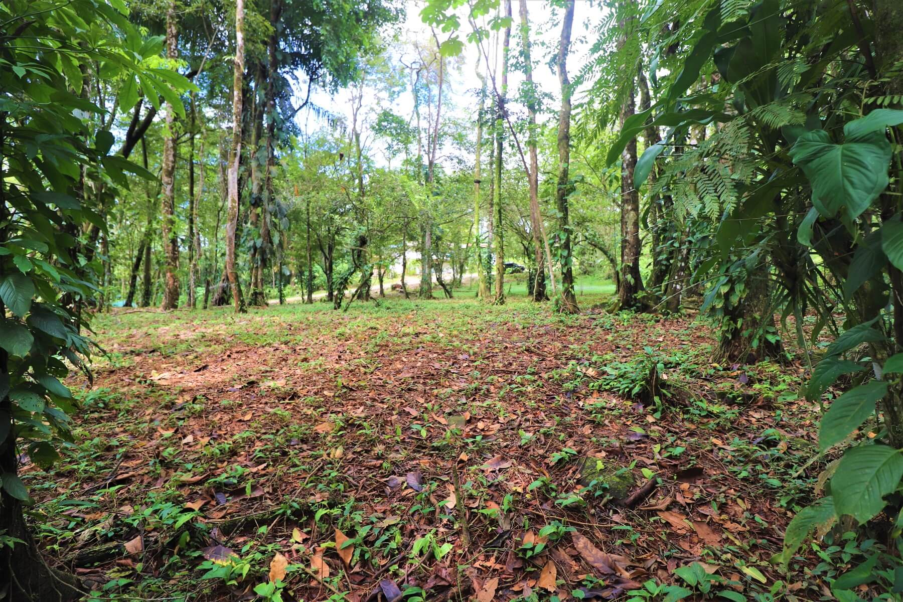 Prime Commercial Property In Uvita selected