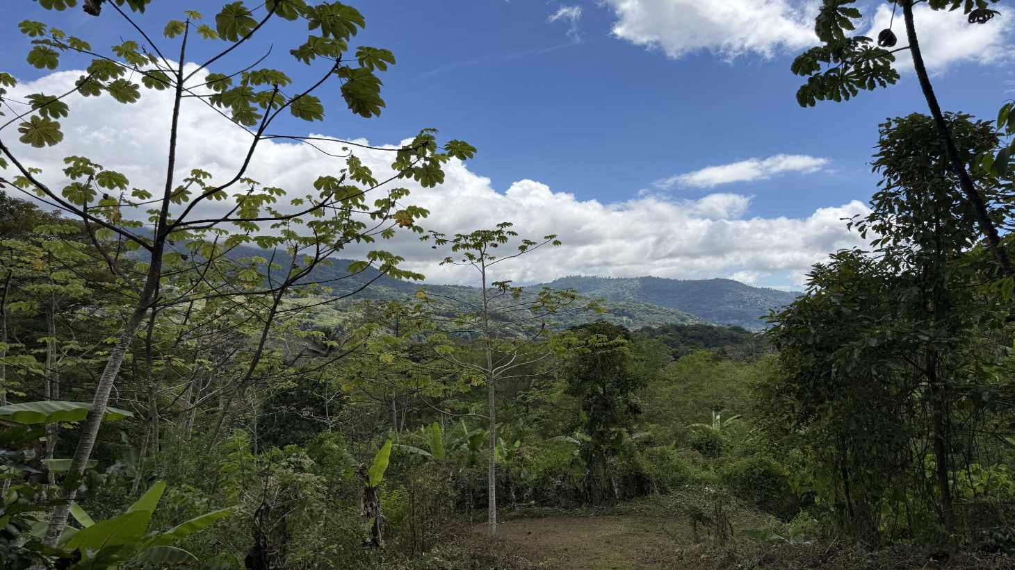 Jungle Lot with 3+ Building Sites, Legal Water, Electricity on Public Road with Big Valley & Mountain Views near San Josecito Costa Rica selected