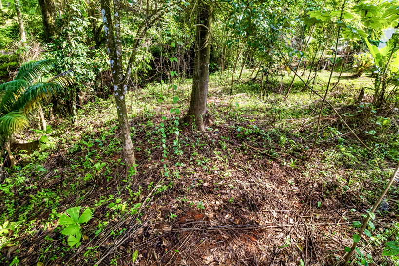 Exceptional Residential or Commercial Potential Property in Ojochal selected