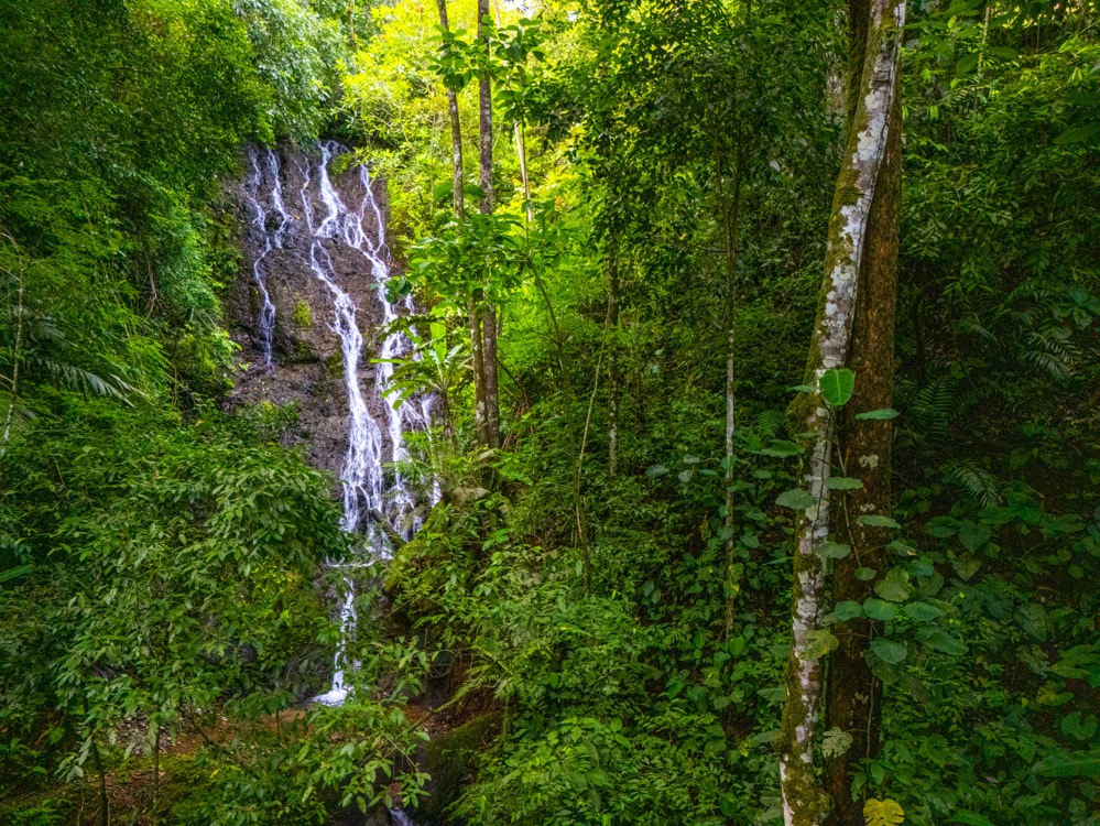 Modern Jungle Retreat in Costa Rica’s Southern Zone selected