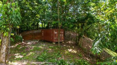 Tropical Sanctuary Above Uvita: 5-Acre Jungle Estate with incredible Mountain Views image 4
