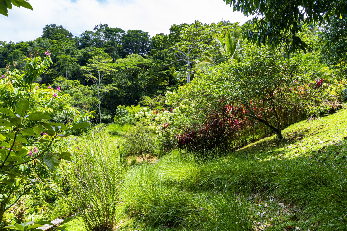 Move-In Ready Ocean View Home Surrounded by Nature selected