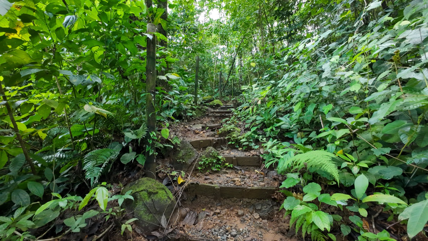 Tropical Retreat in Ojochal with Ocean Views, Private Waterfall & Expansion Potential selected