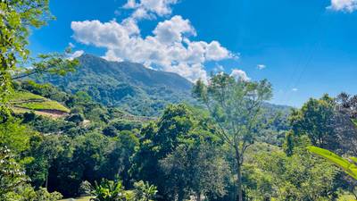 Private Mountain Sanctuary in Costa Rica awaits image 4