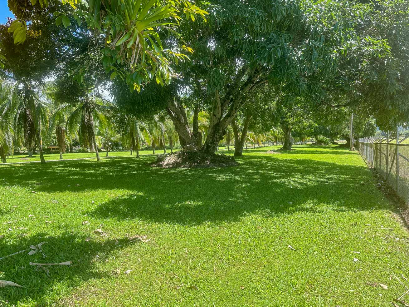 13.4 Acres of Prime Development Land with Direct Airport Access in Palmar Sur selected