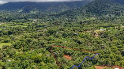 1.6 Acre Jungle and Creek Lot in Gated Community in Ojochal image 4