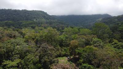 Ocean View Estate Lot with Private Waterfall – Uvita image 4