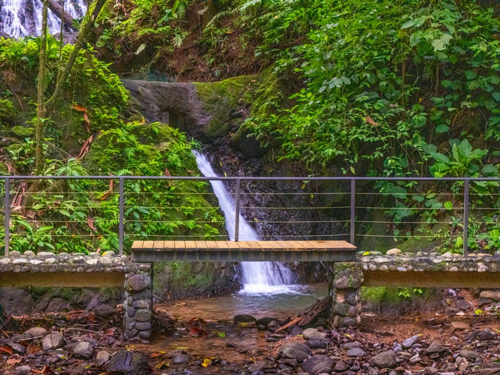 Modern Jungle Retreat in Costa Rica’s Southern Zone selected
