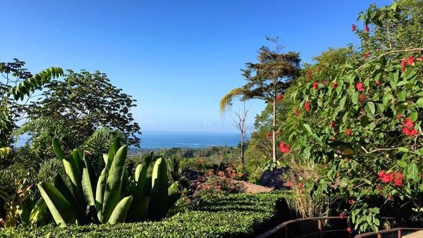 Costa Rica's Green Economy on the World Level