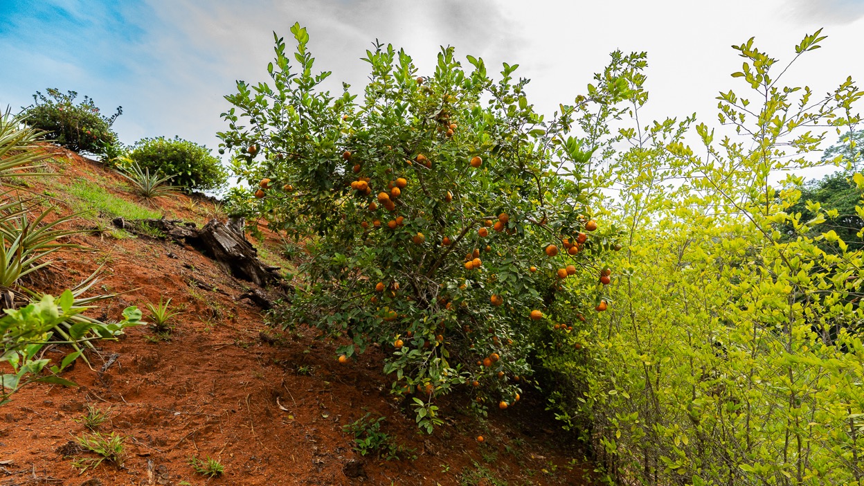 Ocean View Development Property with Waterfall Vista — 14.83 Acres in San Luis de Morete, Near Uvita selected