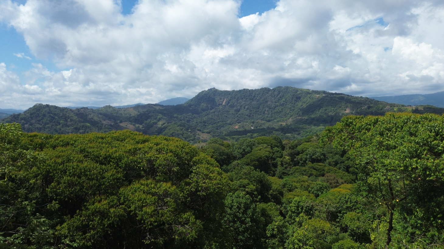 Your Private Jungle Retreat Just Minutes from Dominical selected