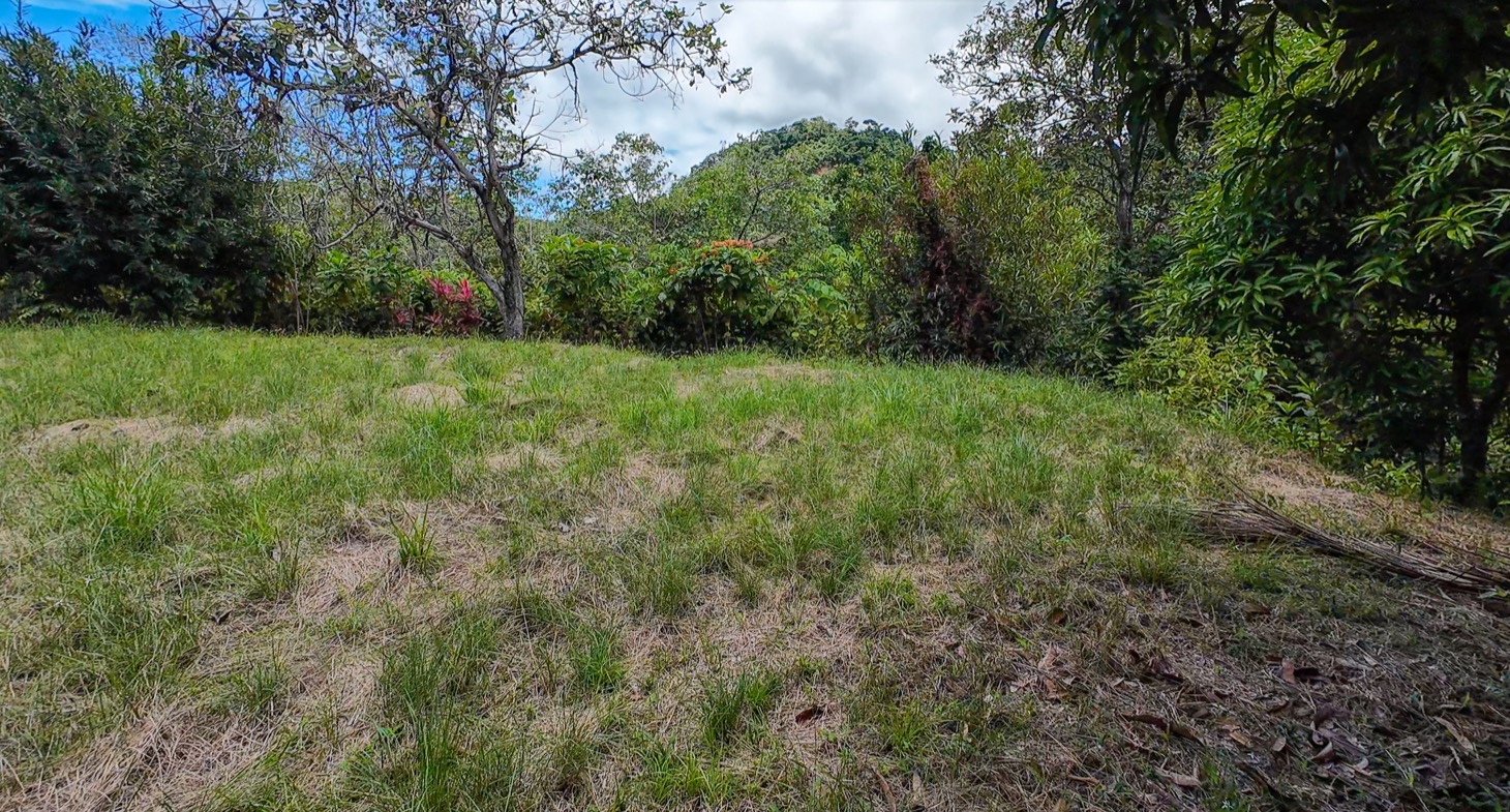 Stunning 16 acre Ocean View Property San Buenas, Costa Rica  selected