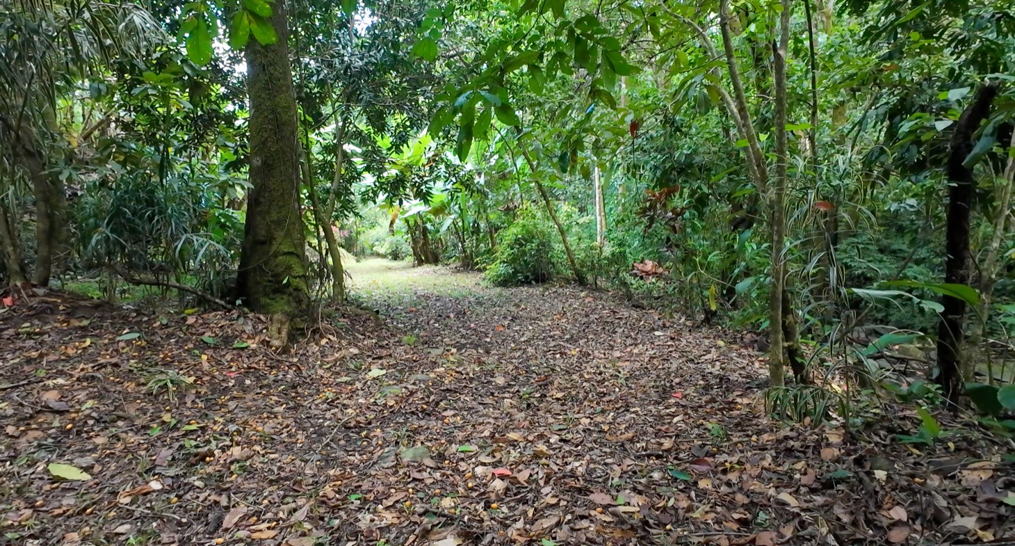 Stunning 16 acre Ocean View Property San Buenas, Costa Rica  selected